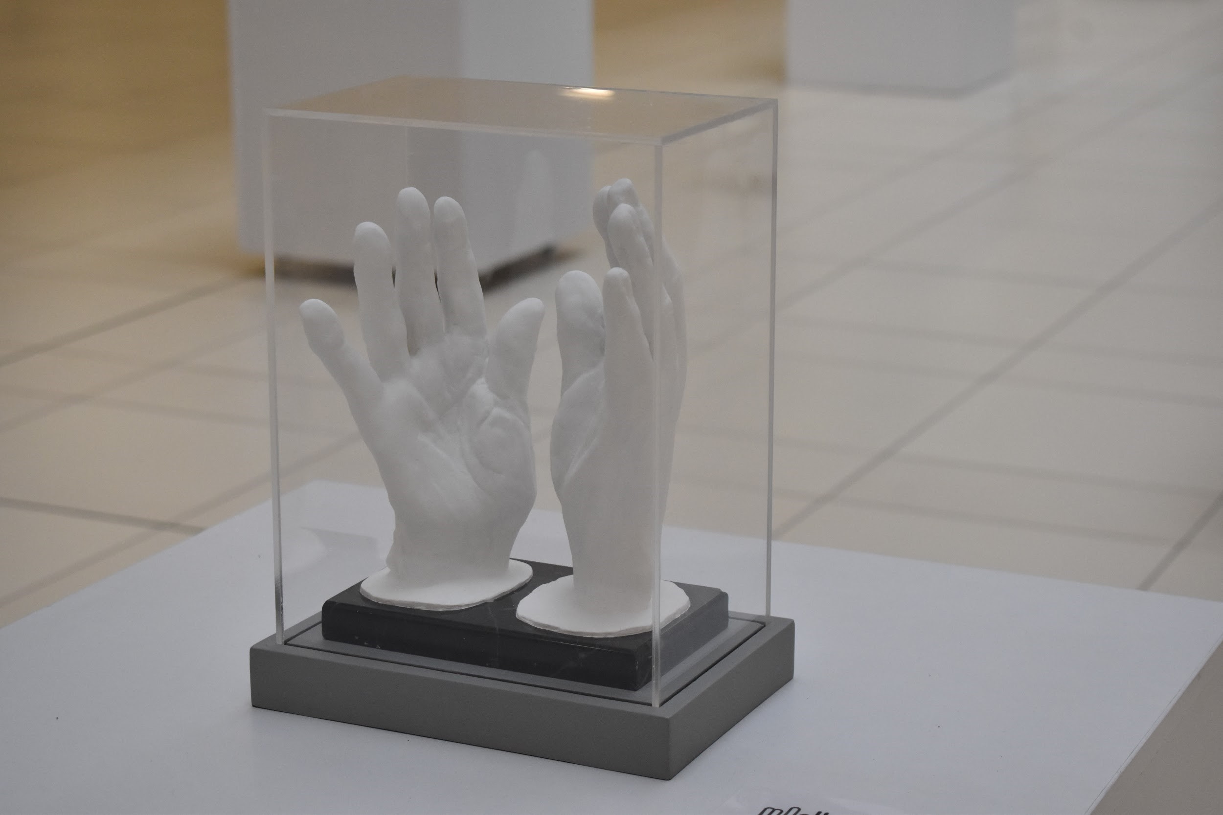 MACUB: un pedacito de arte, cultura e historia de nuestra universidad