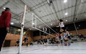 Voley
