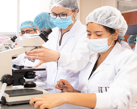 Investigación